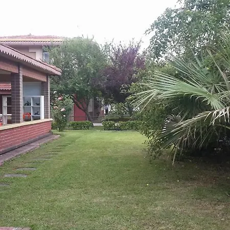 Dort Mevsim Arinma Ağva
