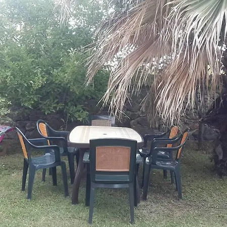 Dort Mevsim Arinma * Ağva